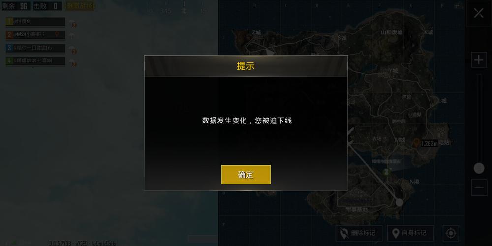 和平精英「小提琴」直装辅助